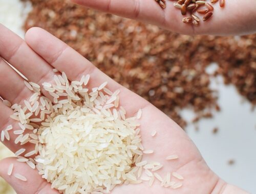 arsenic in rice