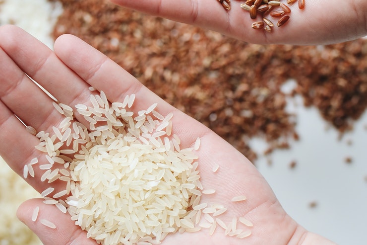 arsenic in rice